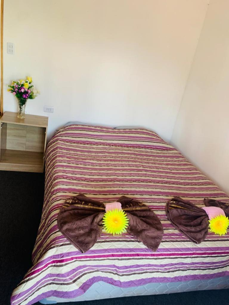 Pua Vaenga Hostel Ханга Роа Екстериор снимка