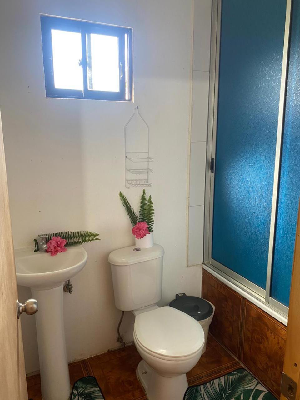 Pua Vaenga Hostel Ханга Роа Екстериор снимка