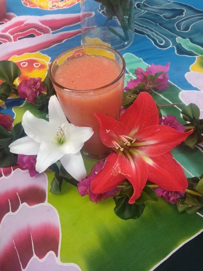 Pua Vaenga Hostel Ханга Роа Екстериор снимка